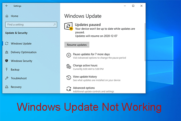 Bothered by Windows Update Not Working? Here's What to Do