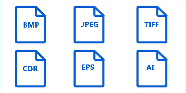 Common Image Format