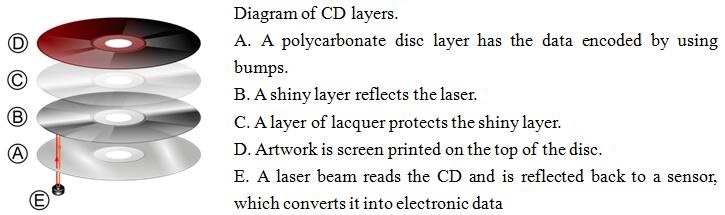 Glossary of Terms – What Is CD?