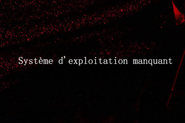 Voici 5 solutions parfaites pour un système d’exploitation manquant