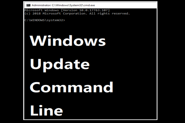 Two Efficient Ways to Do Windows Update from Command Line