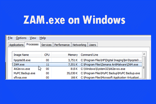 A Comprehensive Introduction to the ZAM.exe Executable on Windows