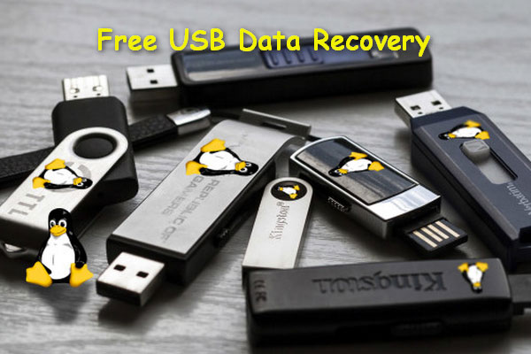 Si esto no puede ayudarte a recuperar los datos de un USB gratis, nada lo hará