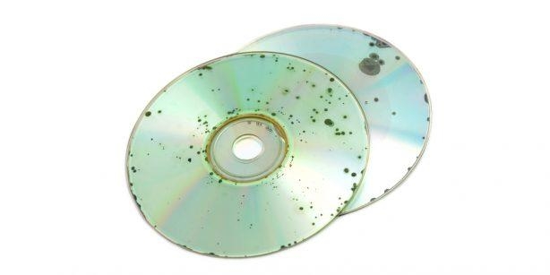 What Is Disc Rot and How to Recognize It Through Some Signs