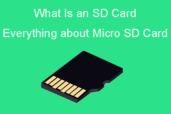 What Is an SD Card | Everything about Micro SD Card