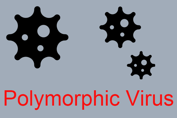 What Is a Polymorphic Virus and How to Prevent It?