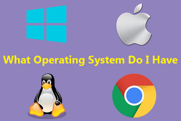 What Operating System Do I Have?