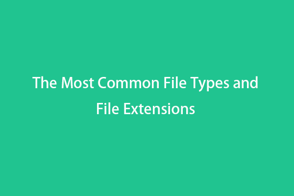 The Most Common File Types and File Extensions