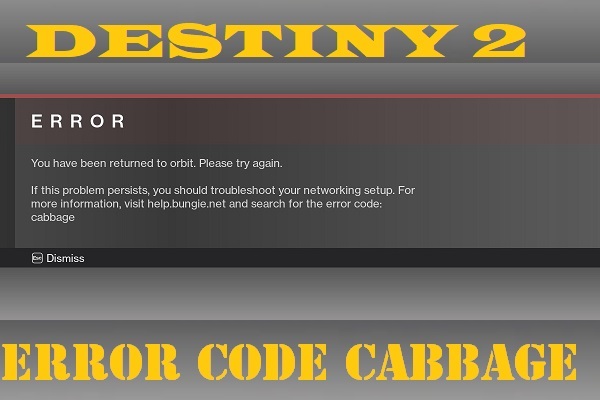 How to Fix Destiny 2 Error Code Cabbage? Try These Methods