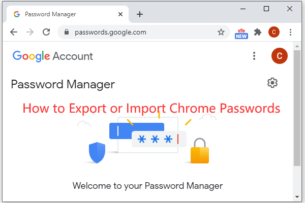 How to Export/Import Chrome Passwords with Password Manager