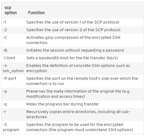 What Is Secure Copy Protocol (SCP) & How Does It Work