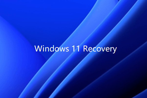 Windows 11 Recovery Solutions: Data and System Recovery