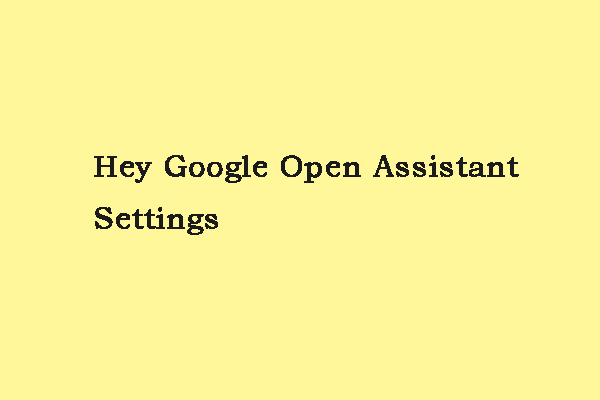 Say “Hey Google, Open Assistant Settings” to Setting Assistant