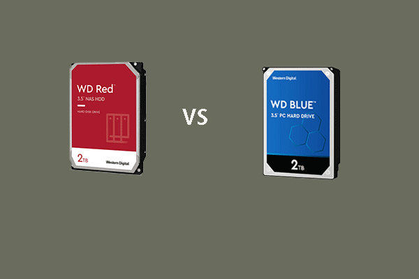 WD rouge vs bleu: Quelle est la différence et lequel est le meilleur?