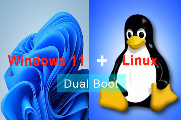 How to Set up Windows 11 and Linux Dual Boot? [Full Guide]