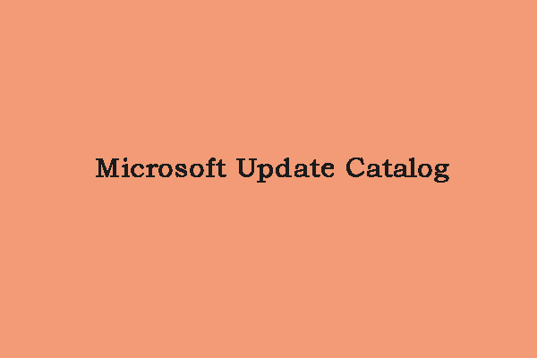 What Is the Microsoft Update Catalog and How to Use It?