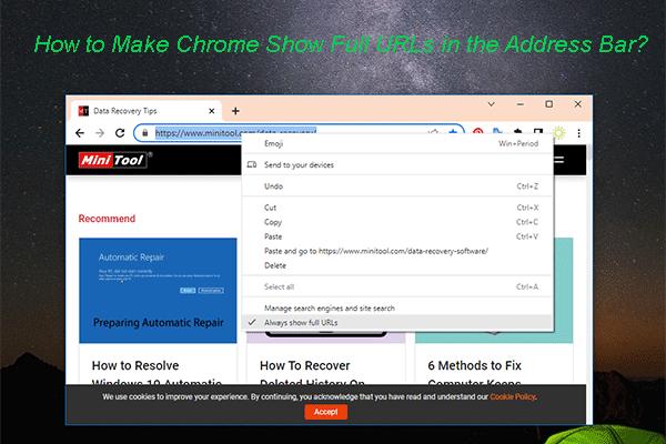 How to Make Chrome Show Full URLs in the Address Bar?