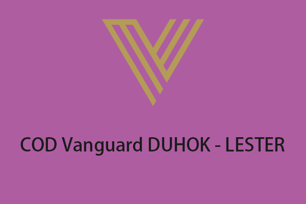 Fixed – Call of Duty (COD) Vanguard DUHOK – LESTER on PlayStation