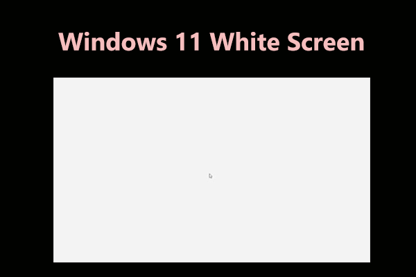 Windows 11 White Screen on Computer? Fix It Now via 10 Ways!