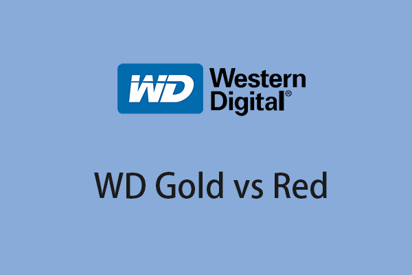 WD Gold vs Red: What Are the Differences Between Them?