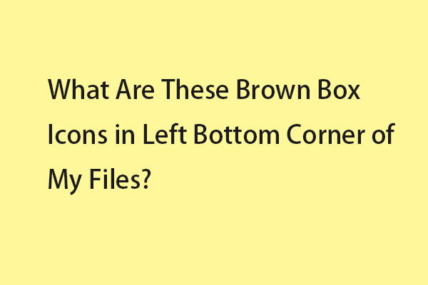 What Are These Brown Box Icons in Left Bottom Corner of My Files?