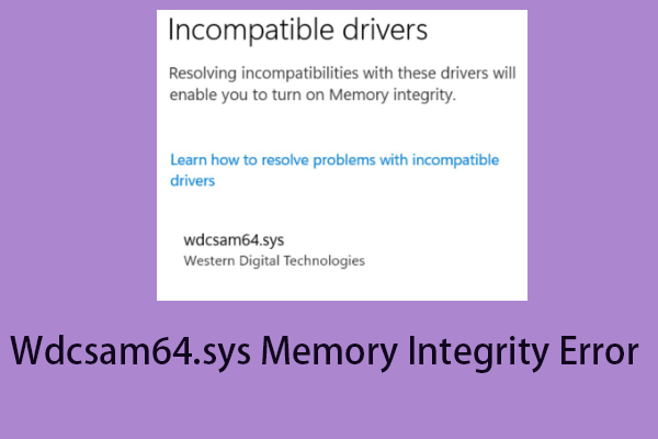 How to Fix the Wdcsam64.sys Memory Integrity Error on Win11/10