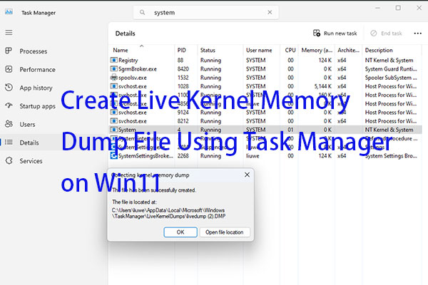 Create Live Kernel Memory Dump File Using Task Manager on Win11