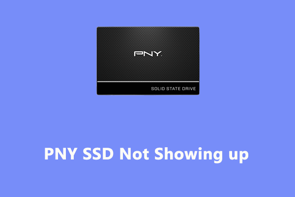 How to Fix PNY SSD Not Showing up on Windows 10/11?