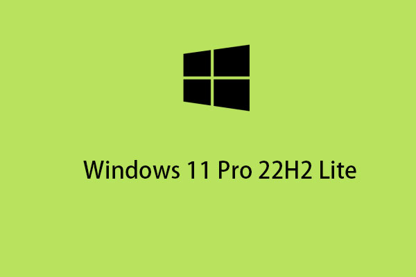 Windows 11 Pro 22H2 Lite: Download and Install for Low-end PCs