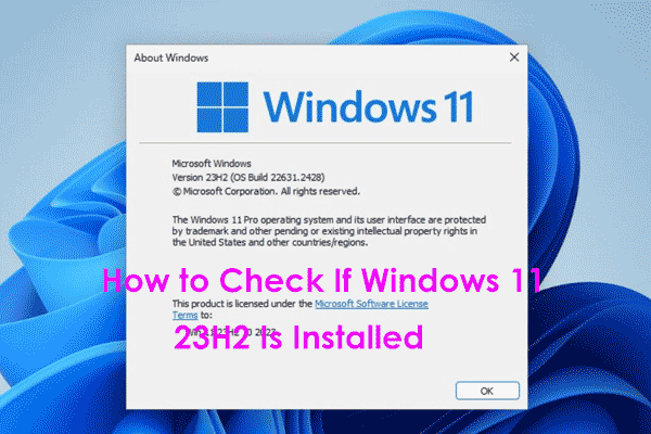 How to Check If Windows 11 23H2 Is Installed? If Not, Install It!