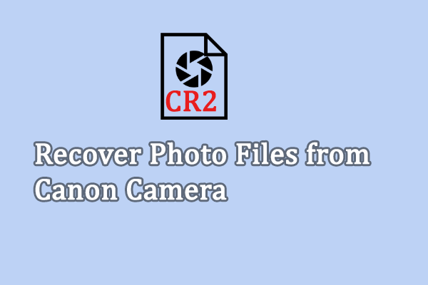 Lost Pictures on a Canon Digital Camera? Get Them Back