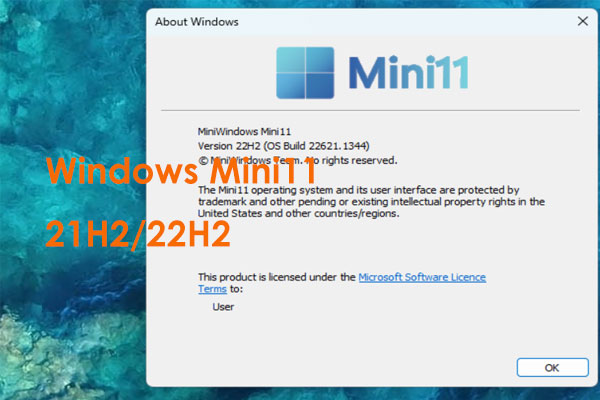 What Is Windows Mini11 & How to Install Mini11 on PC?