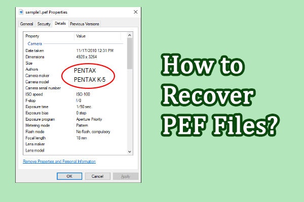 Recover PEF Files from a Pentax Digital Camera: 3 Tested Methods