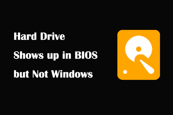 Best Fixes to Hard Drive Shows up in BIOS but Not Windows