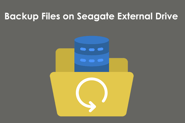 How to Backup Files on Seagate External Hard Drive Windows 10/11