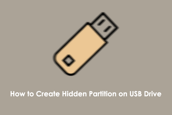 Step-by-Step Guide: How to Create Hidden Partition on USB Drive