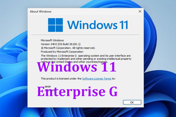 What’s Windows 11 Enterprise G (Government Edition)? Should Install?