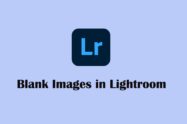 How to Fix Blank Images in Lightroom? Read This Top Guide