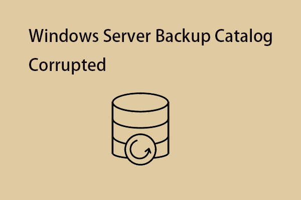 How to Fix the “Windows Server Backup Catalog Corrupted” Issue?