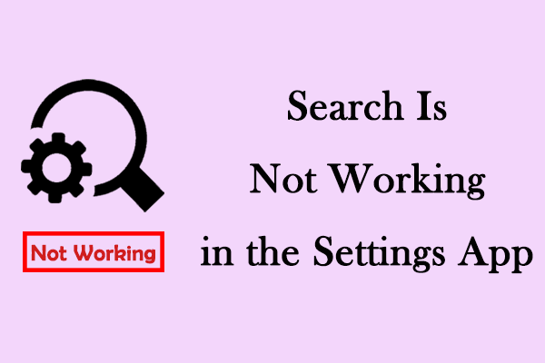 Search Is Not Working in the Settings App | Repair Guide