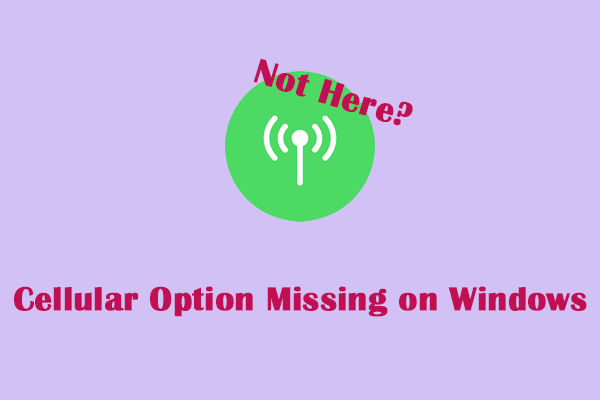 How to Fix Cellular Option Missing on Windows With Ease