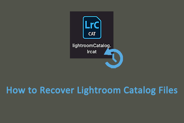 How to Recover Lightroom Catalog Files With Simple Ways