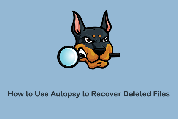 Simple Guide: How to Use Autopsy to Recover Deleted Files