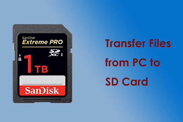 Transfer Files from PC to SD Card in Win11/10 – Best 4 Options