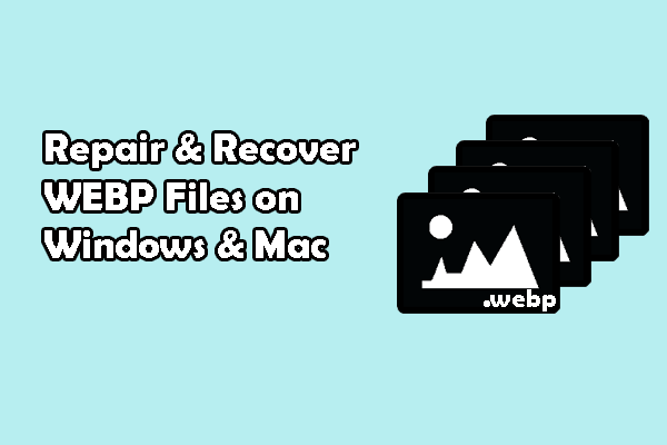 Tech-Savvy Tips to Repair and Recover WEBP Files on Windows & Mac