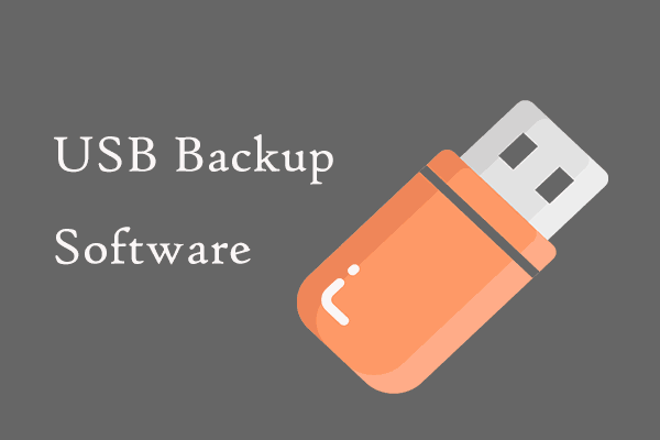 Top 4 USB Backup Software for Windows 10/11, Which One to Use